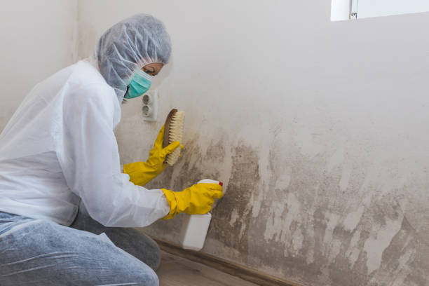 Best Attic Mold Removal  in Carrollton, VA