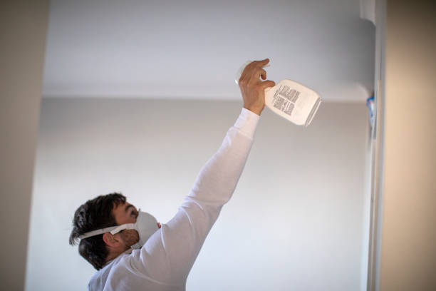 Best Affordable Mold Removal  in Carrollton, VA