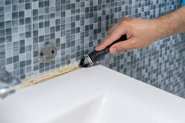 Best Certified Mold Removal  in Carrollton, VA